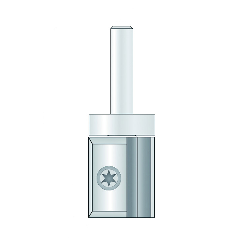 Hm 215-12 kopieerfrees Ø 19 x 30 mm met wisselmessen (schacht 12 mm)