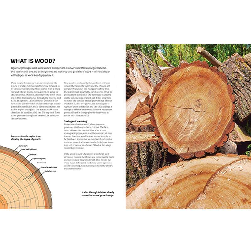 Woodworking Basics - Alan Goodsell & Randall Maxey