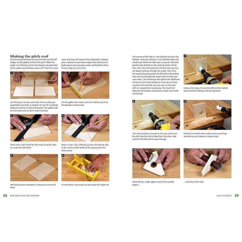 Alan Goodsell, Bird House Make and Makeover