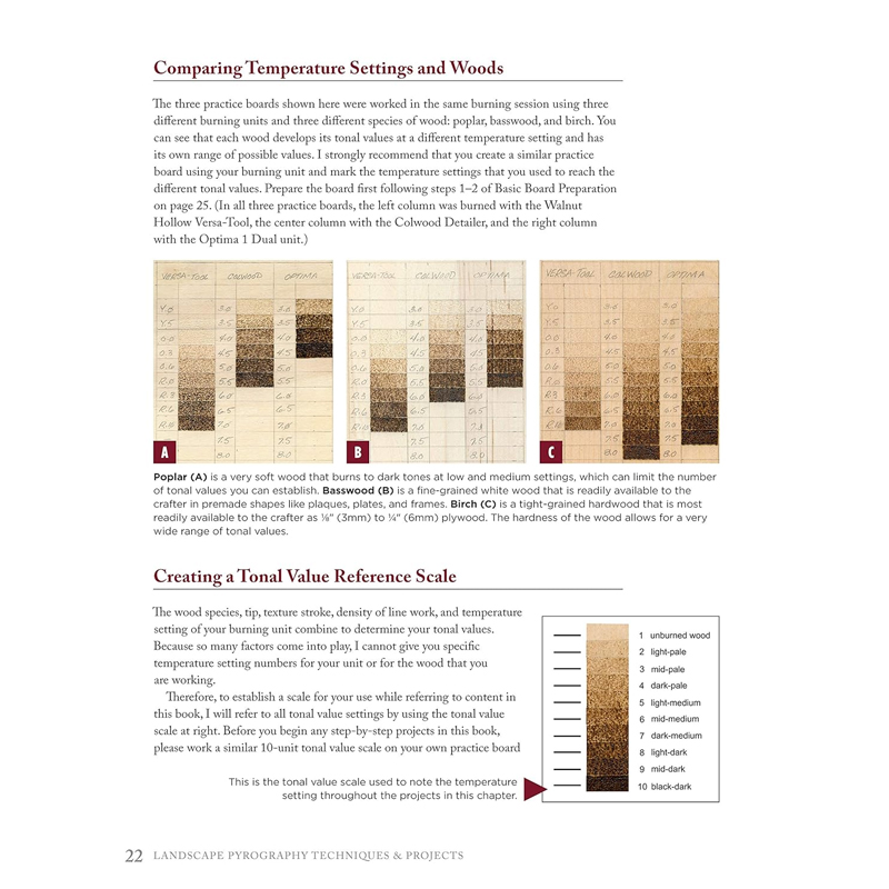 Lora. s. irish, landscape pyrography techniques & projects