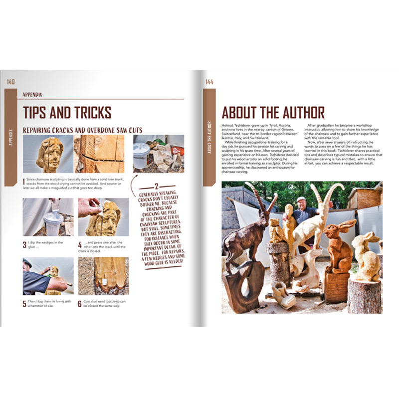 Chainsaw carving for beginners - Helmut Tschiderer