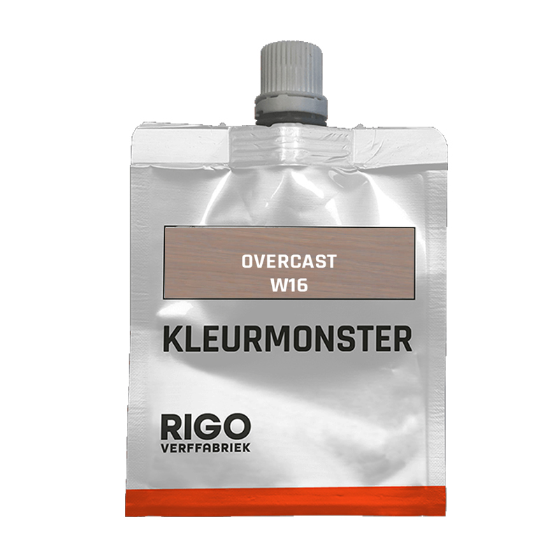 Rigo Skylt kleurmonster W16 overcast 30 ml