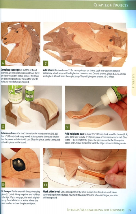 Intarsia, Woodworking for Beginners - Kathy Wise