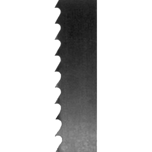 Record Power zaaglint 3885 x 25,4 mm 3 tpi voor o.a. Record SABRE 450