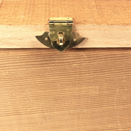 Vioolkistsluiting met vaste draaisleutel 33,5 x 33 mm vermessingd