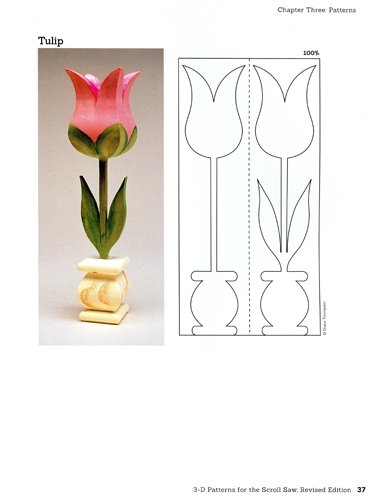 3D Patterns for the Scroll Saw - Diana Thompson