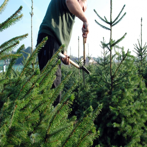 Okatsune 231 heggenschaar 570 mm