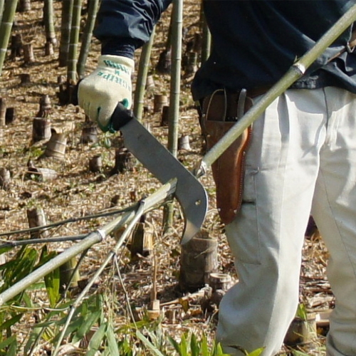 Silky Yoki bush mes 270 mm