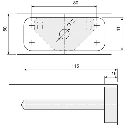 Onzichtbare schapdrager zwaar Ø 12 x 100 mm