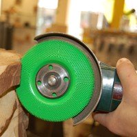 Saburrtooth schijfrasp Ø 100 mm vlak groen/grof