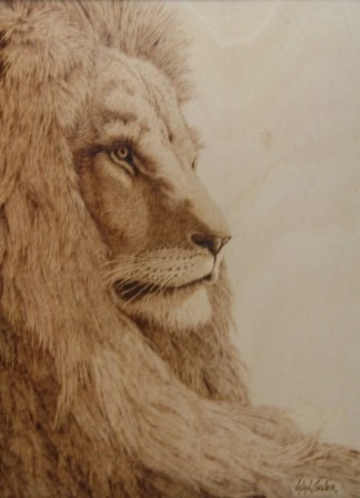 Razertip heavy duty pyrografie pen met een spitse punt